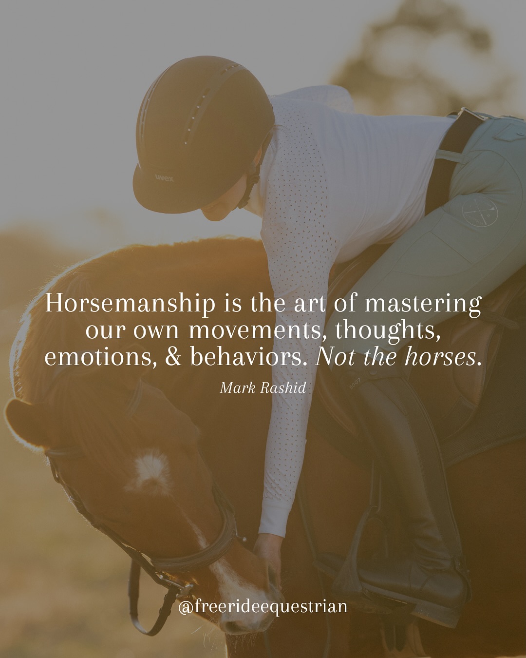 Free Ride Equestrian | Ocala FL