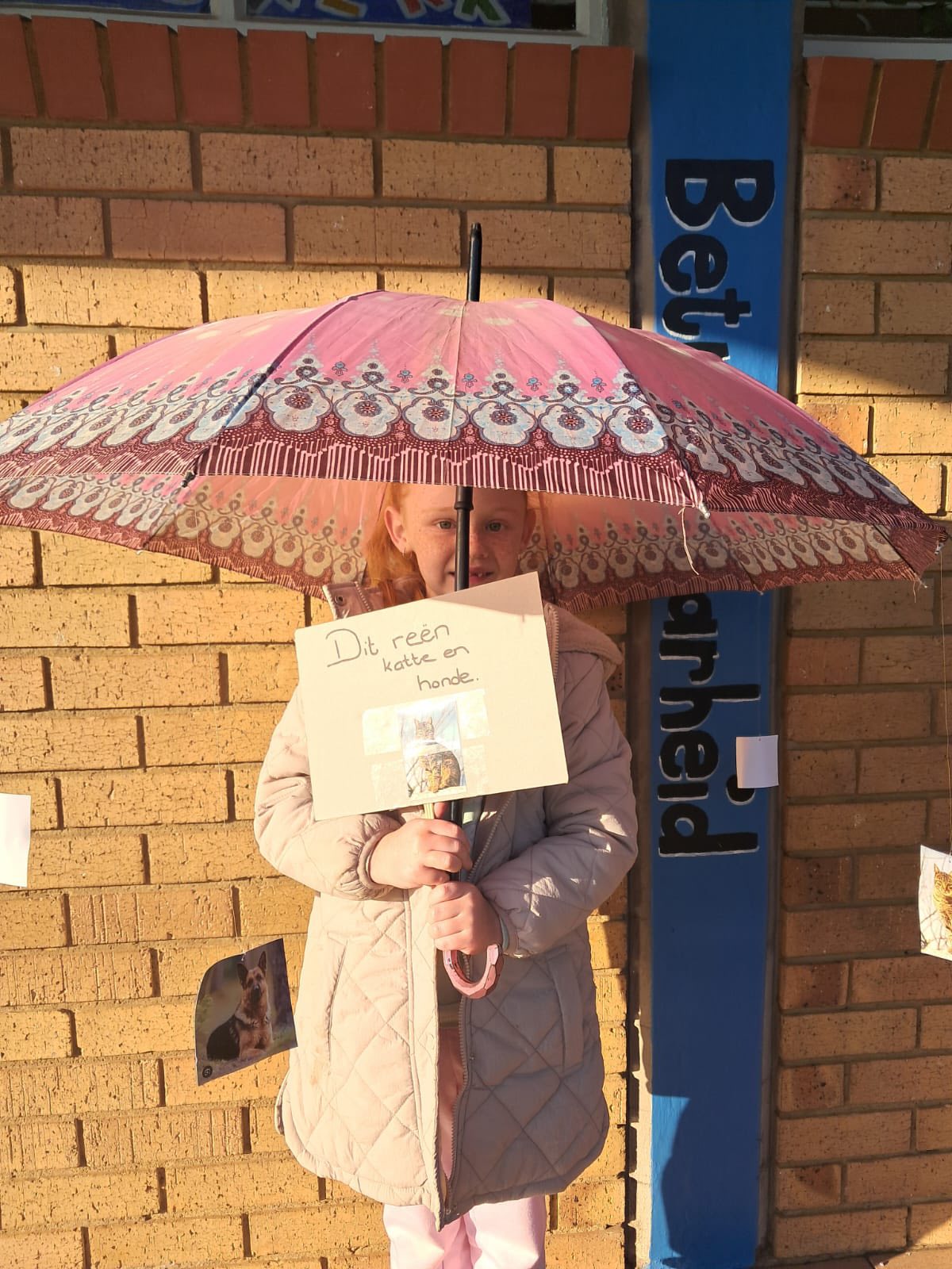 laerskool-du-preez-van-wyk-laerskool-du-preez-van-wyk