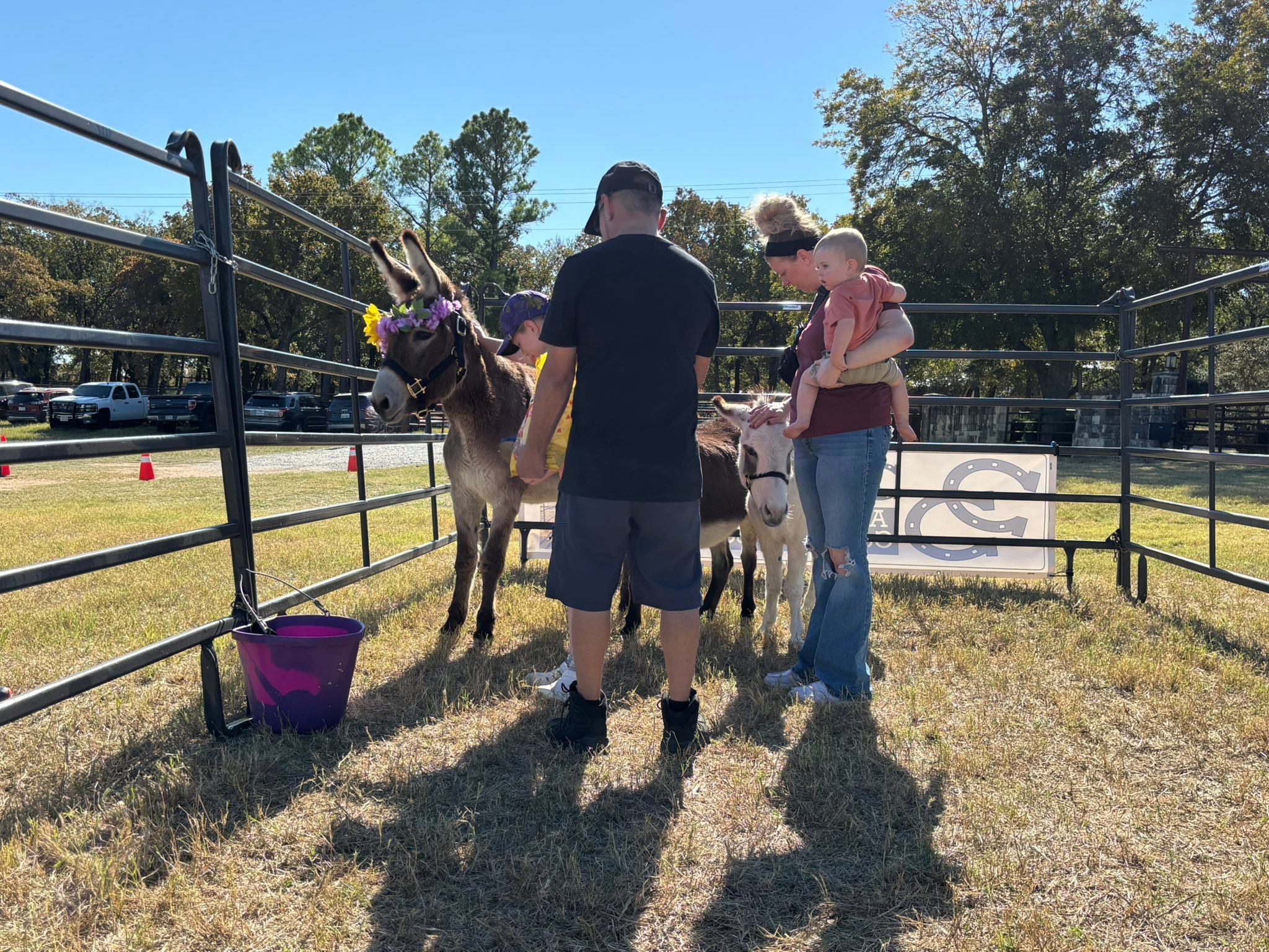 Partnering Together to Save At Risk Donkeys in Texas - DD Donkeys added ...