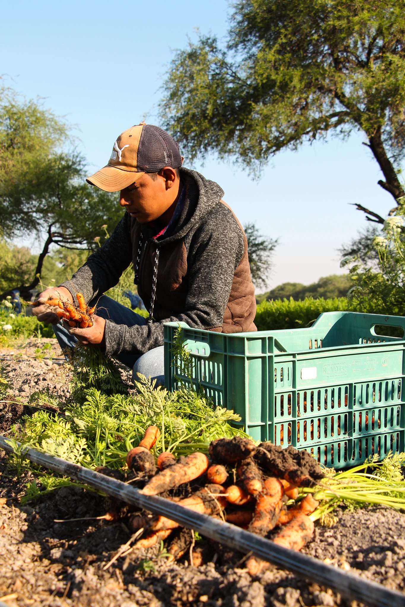 Huerto Rancho Luna | San Miguel de Allende