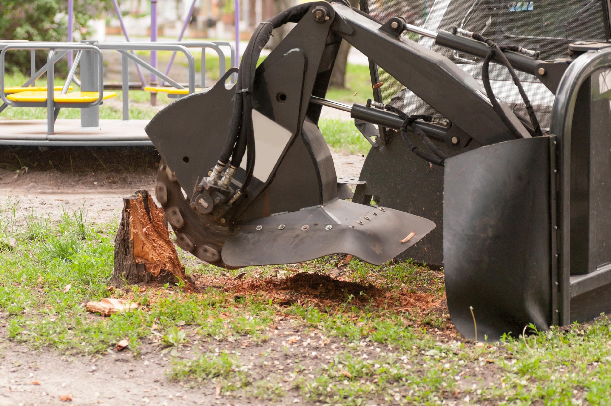 Montgomery Tree & Stump Removal | Huntsburg OH