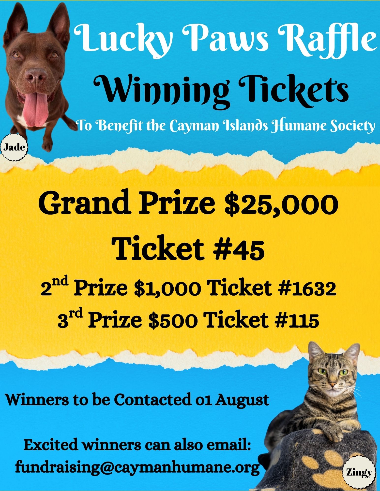 Cayman - 🎉🐾 The Moment You've Been Waiting For! 🐾🎉 The time is finally ...