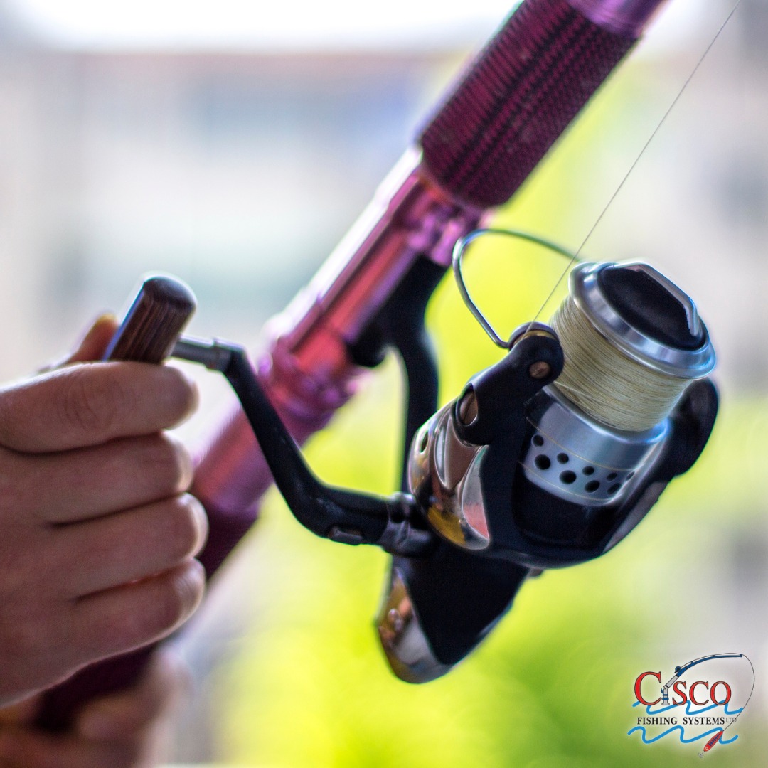 do shimano reels have lifetime warranty FXC3000FC Built for anglers who demand smooth performance and precise control Shimano Spin Reels For Sale