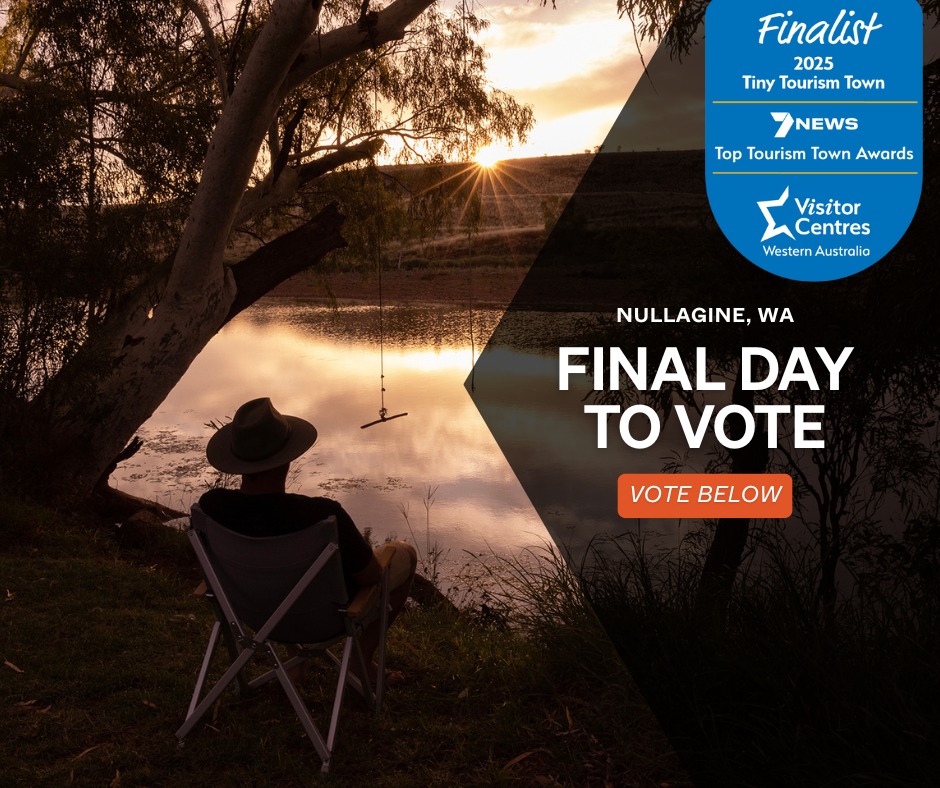 Shire - ⏳ Last chance to show your love for Nullagine! Voting for the ...