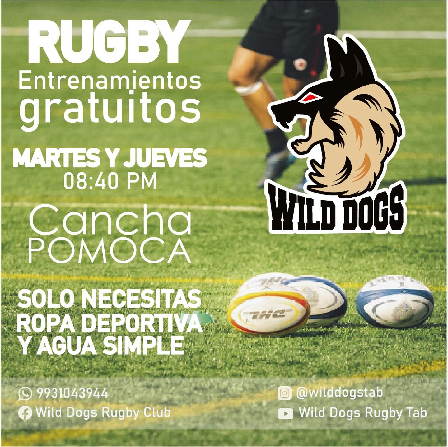 Wild Dogs Rugby Club