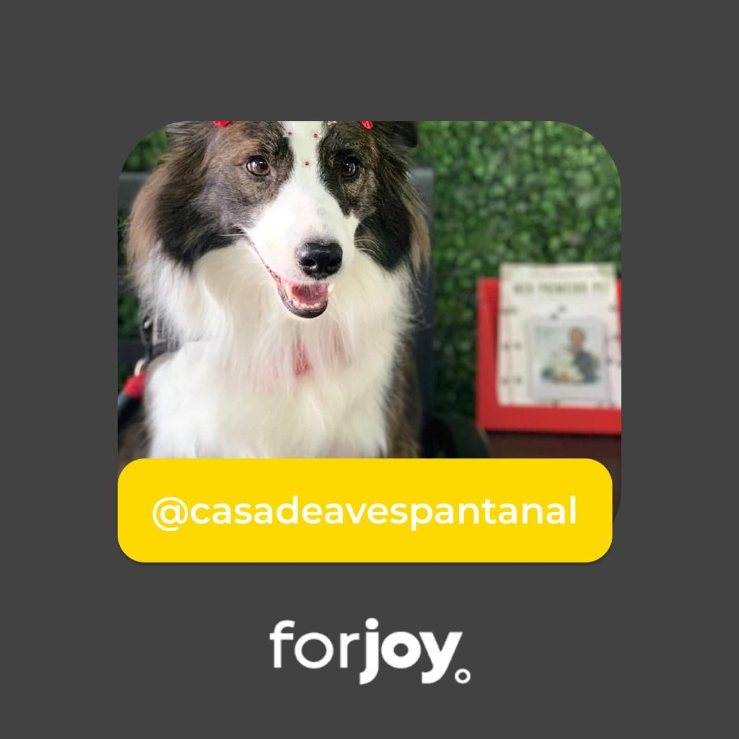 Forjoy