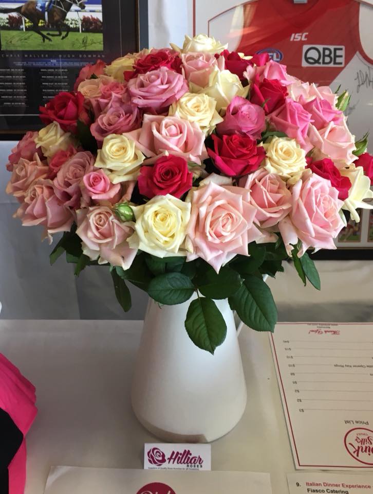 Hilliar Roses | North Boambee Valley NSW