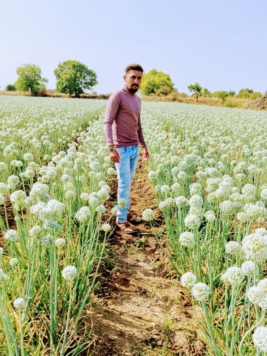 🧅ऑल इंडिया प्याज वाले किसान🧅 | Amol rajput..9529846482. | Facebook