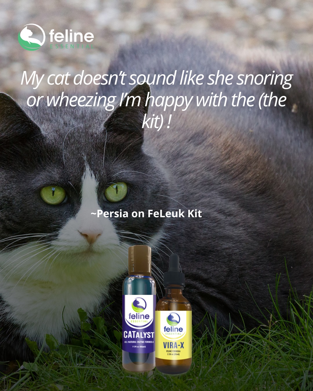 Feline Essential