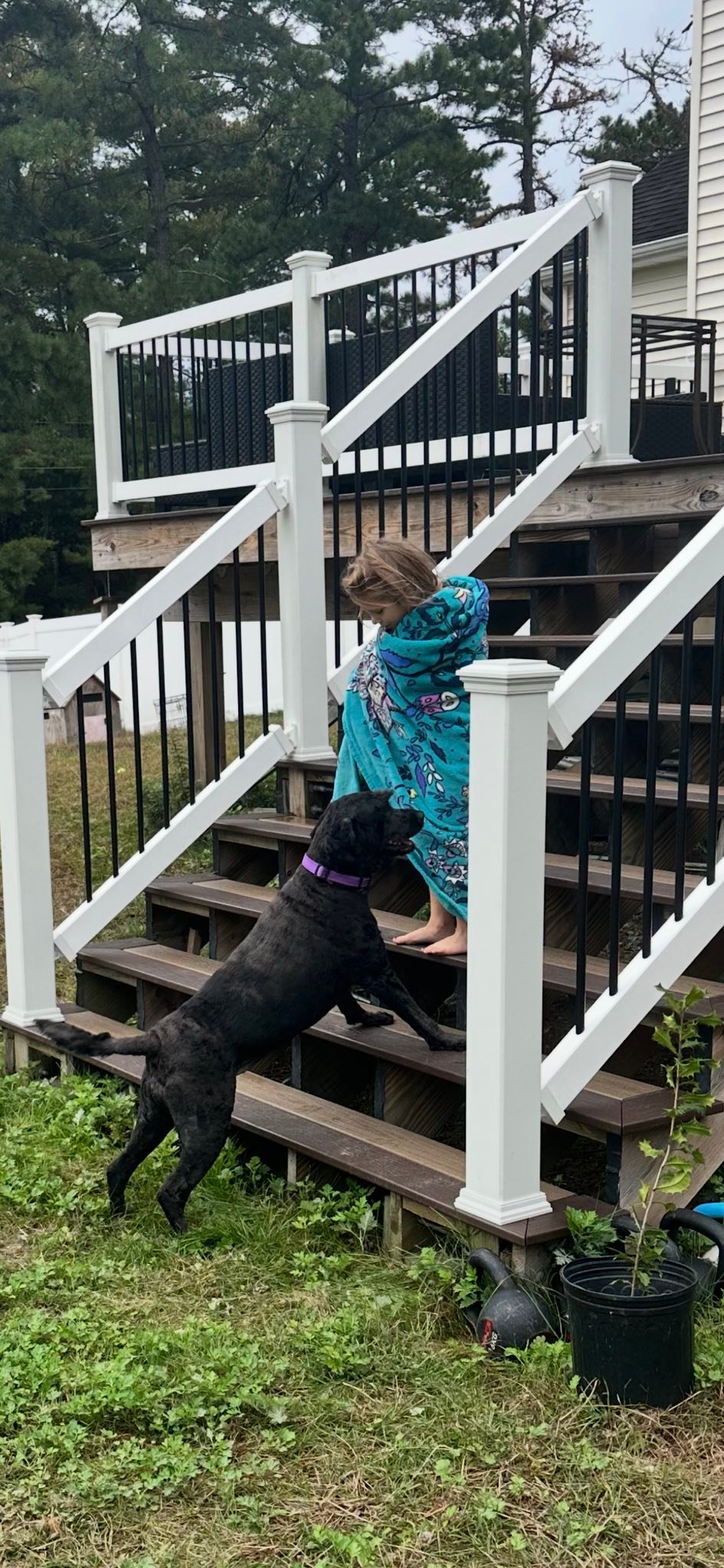 Jonah's Ark Animal Rescue... - Jonah's Ark Animal Rescue