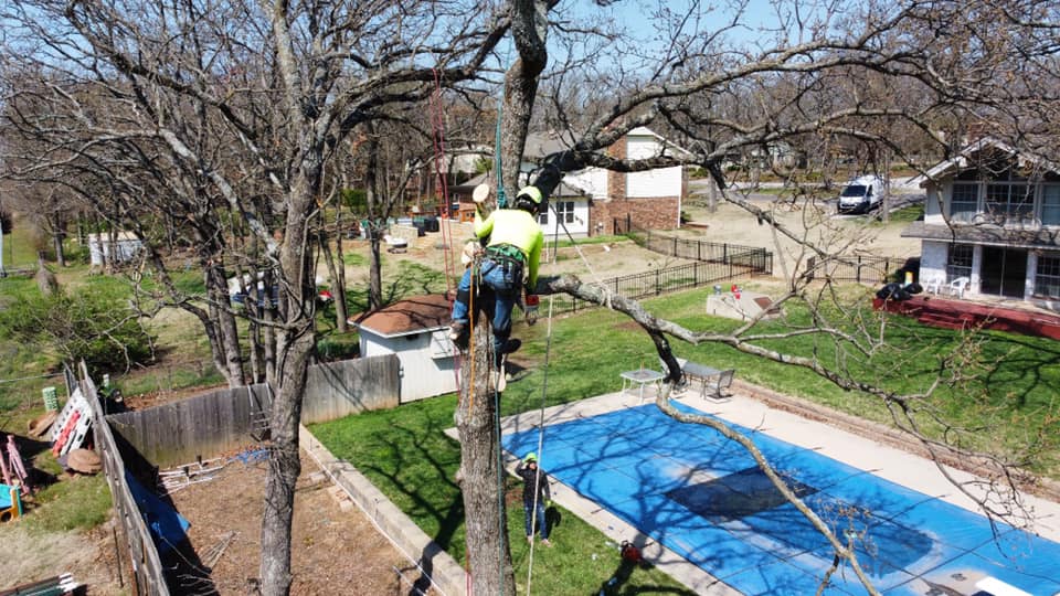 Clark Tree Service, LLC
