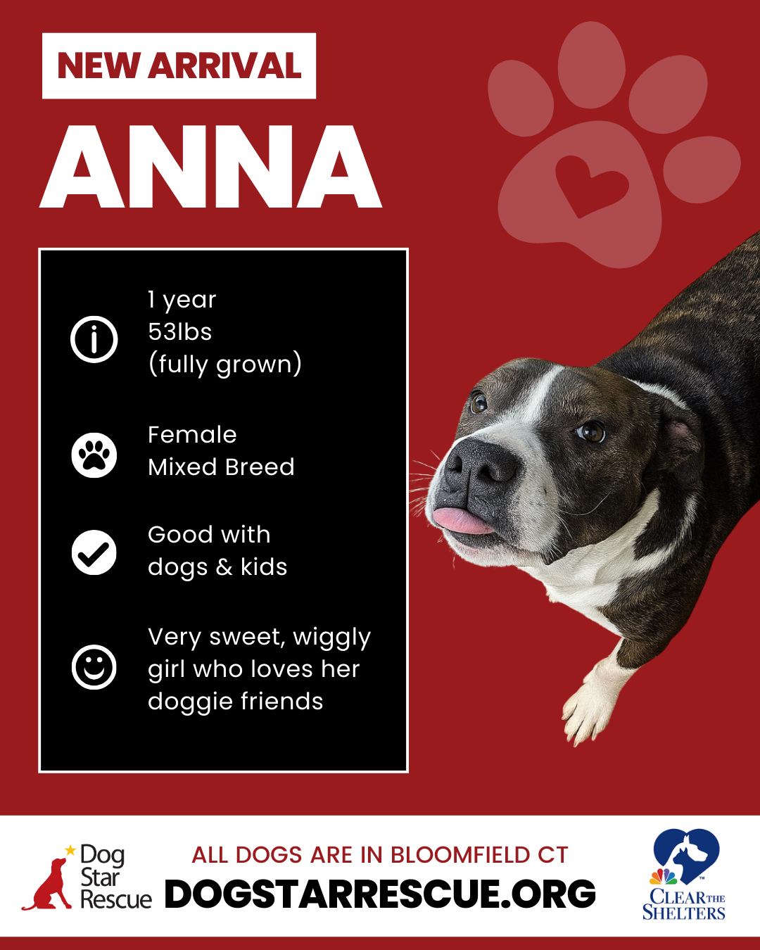 Dog Star Rescue - 💗 NEW ARRIVALS! 💗 Incoming cuteness -... | Facebook