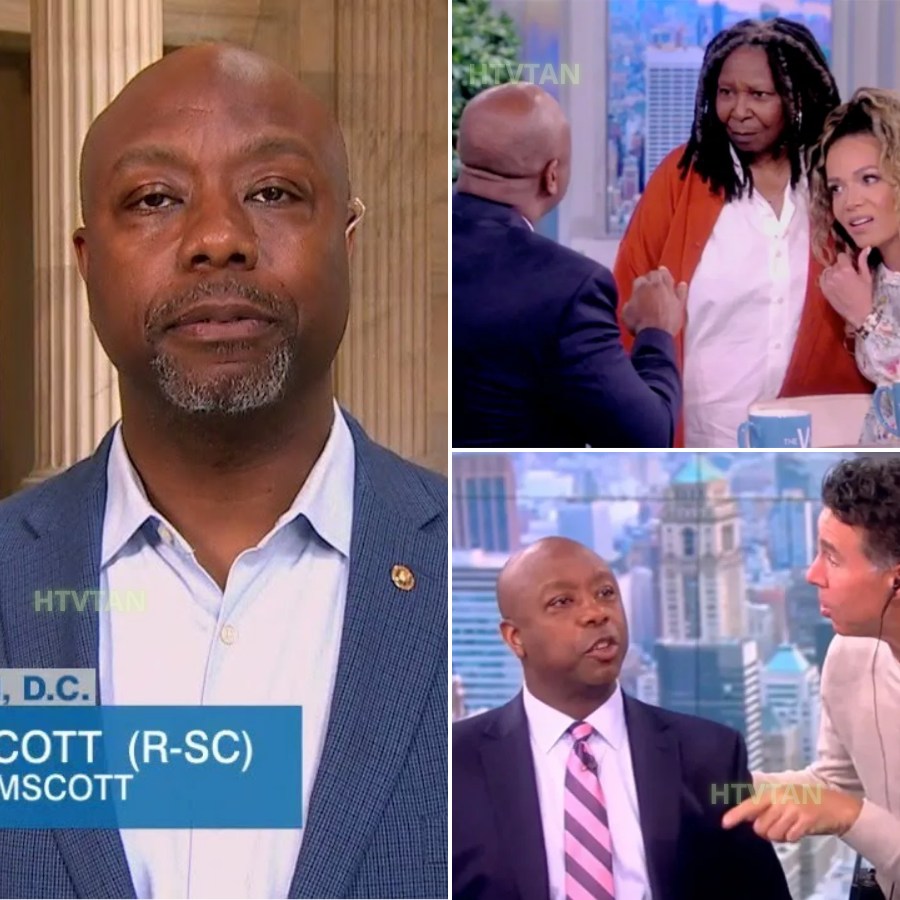 Socky - THIS JUST HAPPENED: Tim Scott LEAVES The View Hosts SPEECHLESS ...