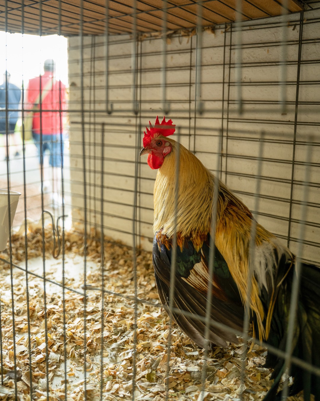 The... - The Northwest Washington Fair and Event Center