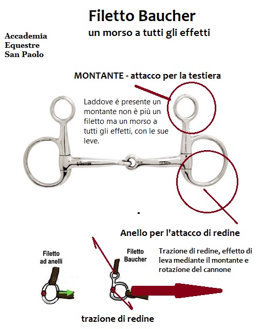 Accademia - Due parole sul 