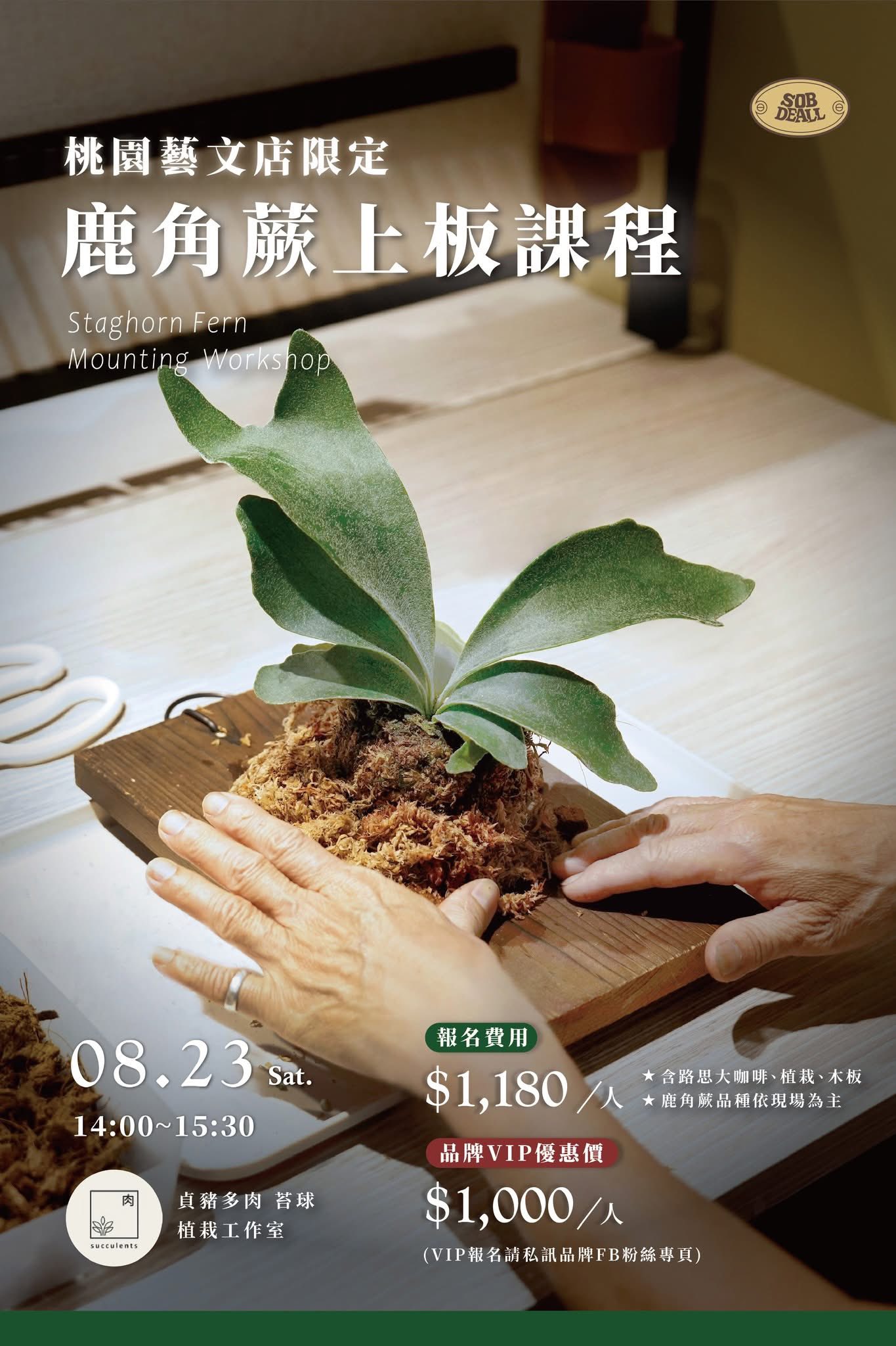 SOBDEALL 沙伯迪澳 - 【桃園藝文店｜鹿角蕨上板體驗】... | Facebook