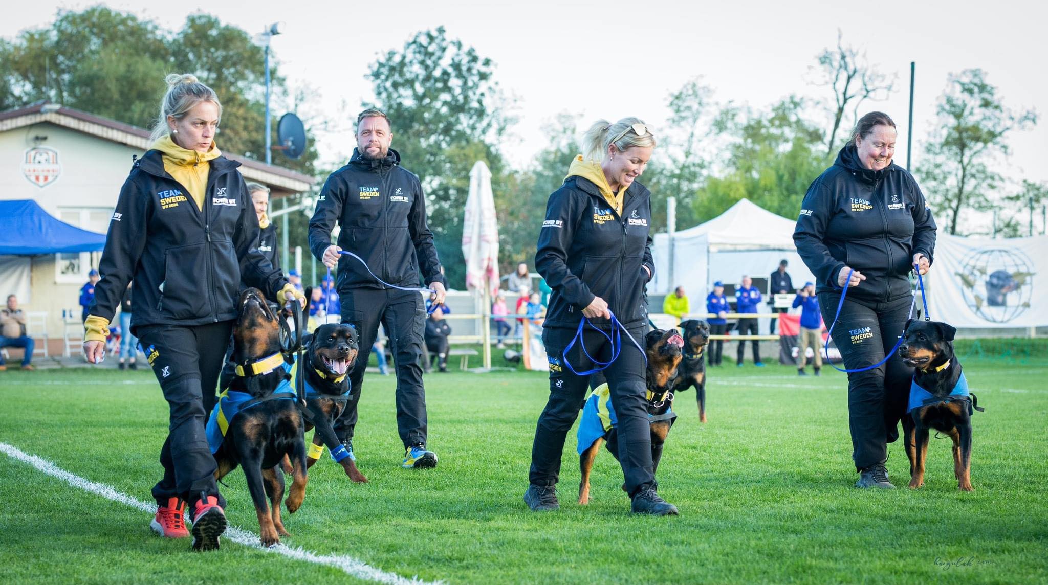 Team Extreme Rottweiler