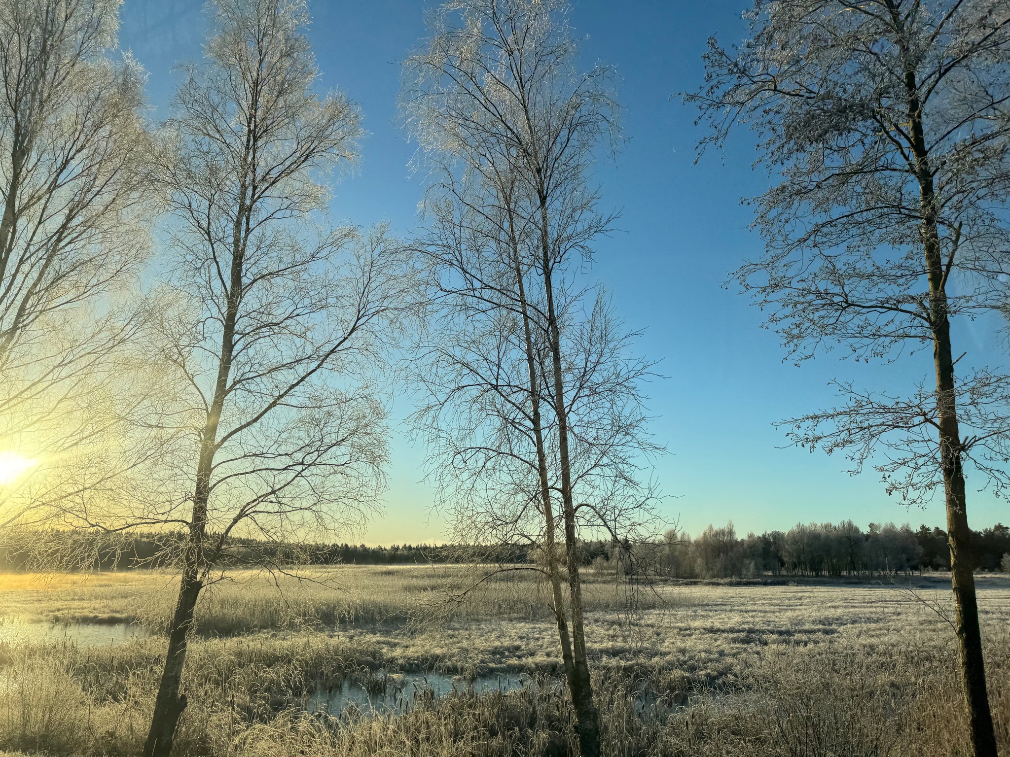 VisitHylte - Stillhet vid sjön Jällunden. #sverige #sweden #halland # ...
