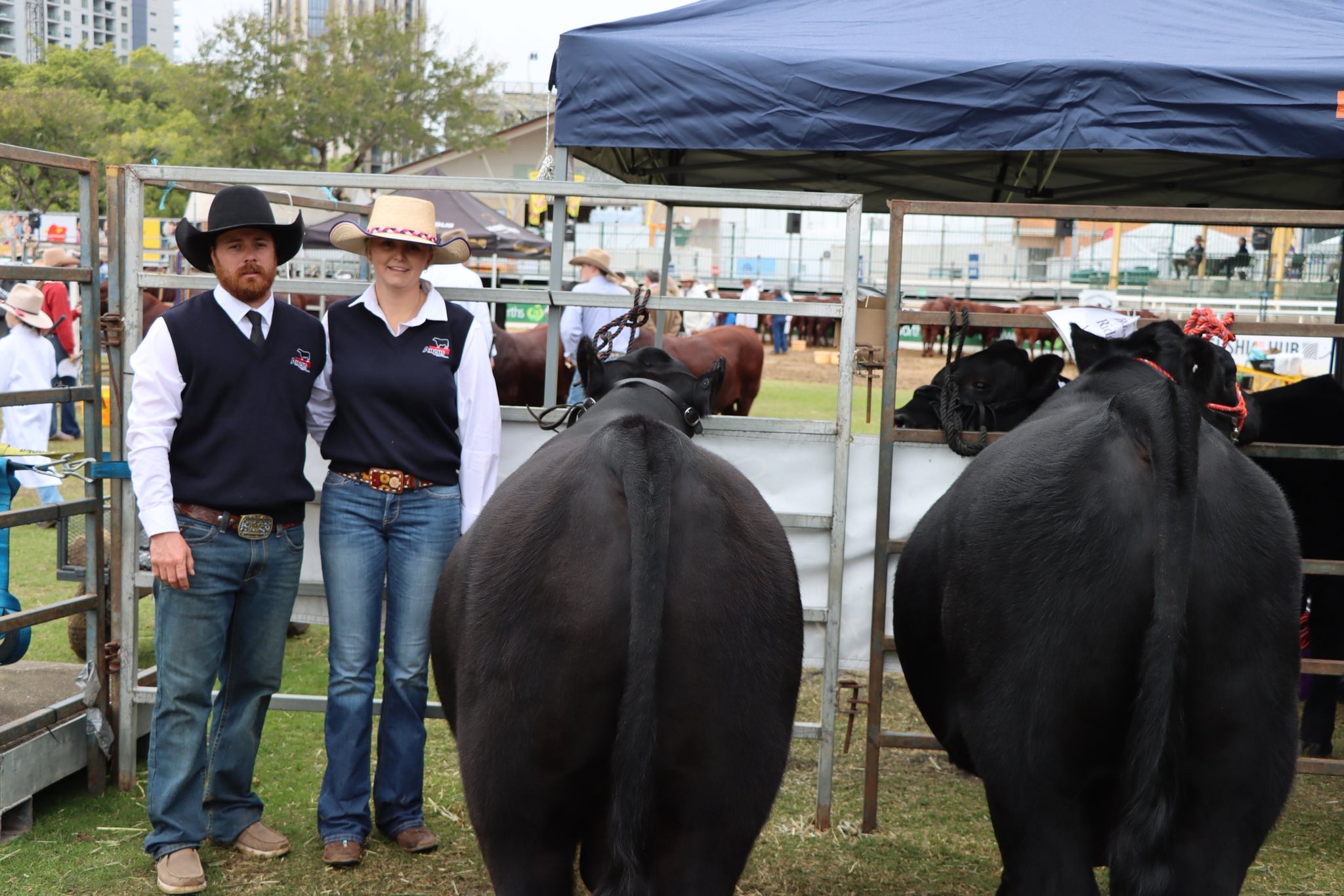 Ruby Ridge Angus | Kingaroy QLD