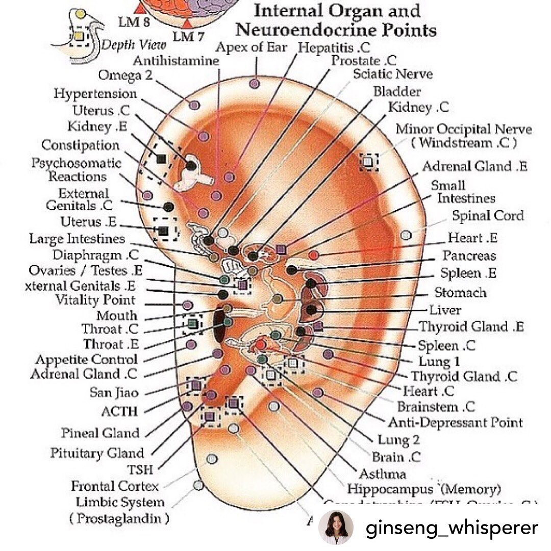 Medicinal Roots Magazine - Can we get a hands up 🙋🏼‍♀️🙋🏽‍♂️from all of ...