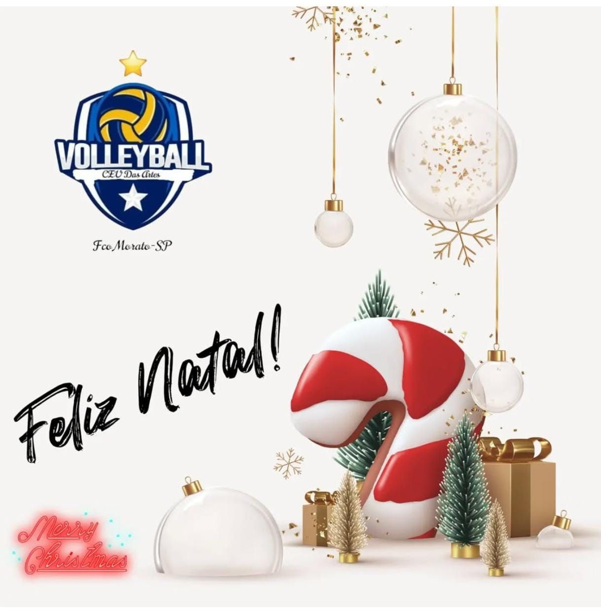 Vôlei CEU Das Artes | Francisco Morato SP
