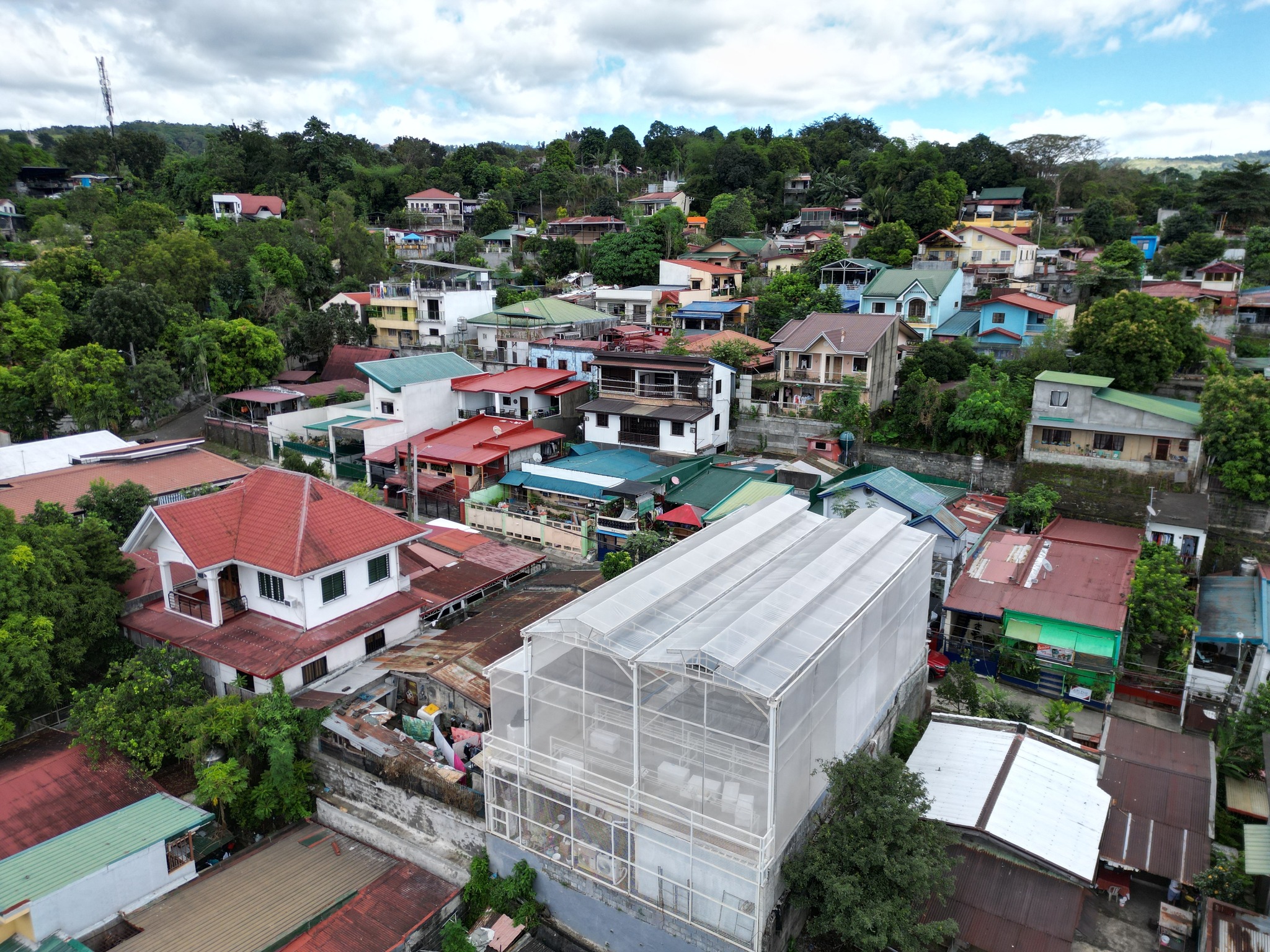 Katanim - Katanim Rooftop Greenhouse: A Haven for... | Facebook