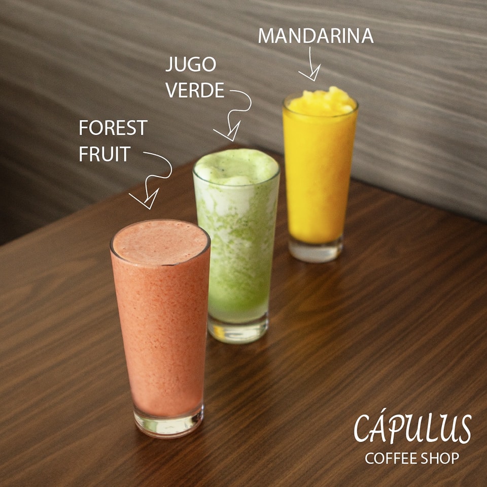Cápulus Coffee Shop | Tegucigalpa