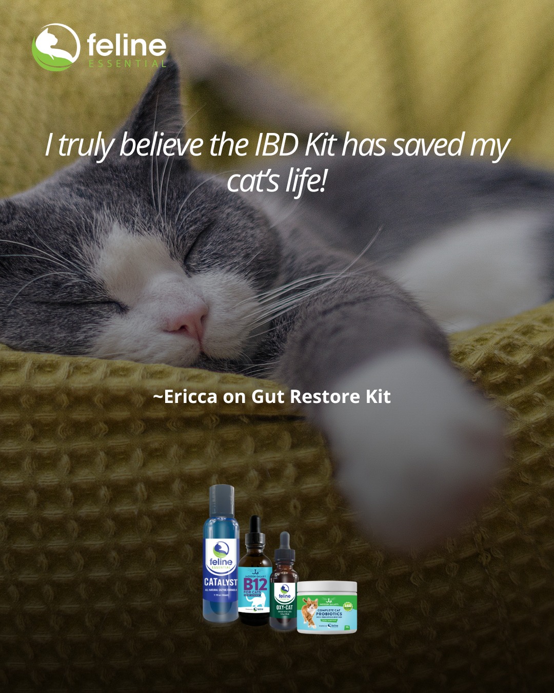 Feline Essential