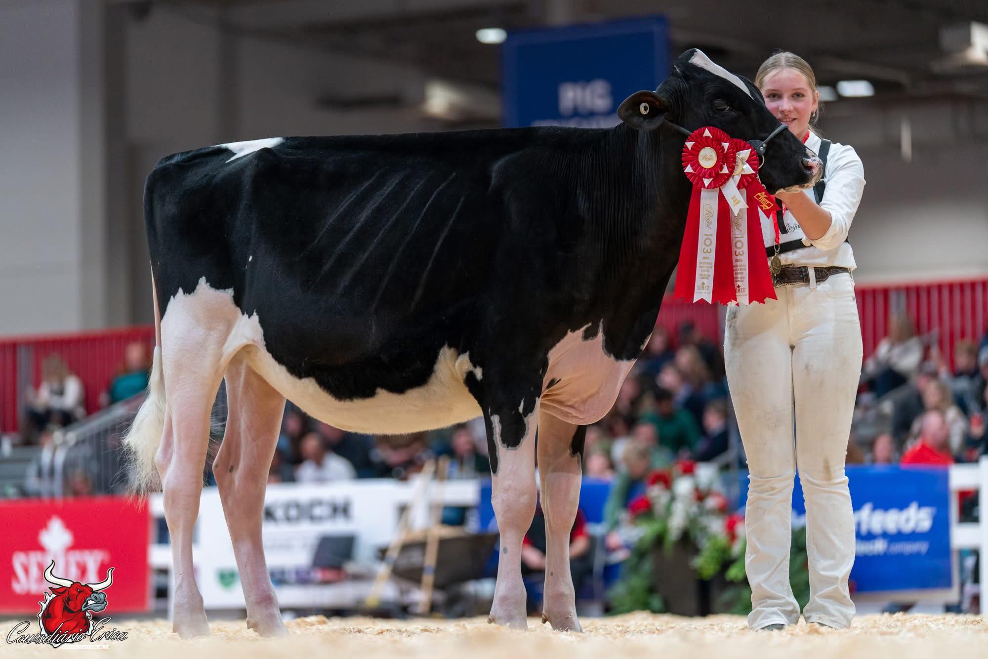 Smygwaty Holsteins | Russell ON