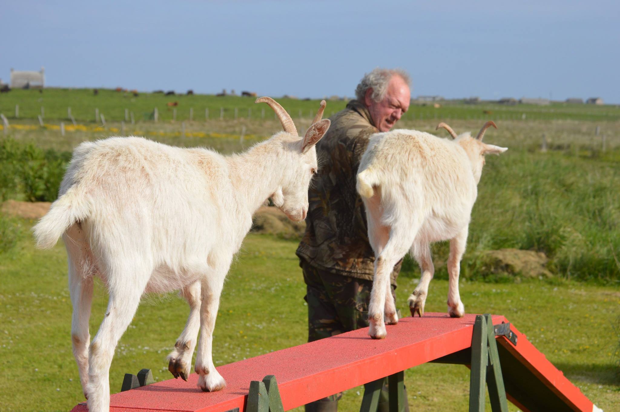 Sanday Bus | Hi can I book the bus for Wednesday morning from home ...