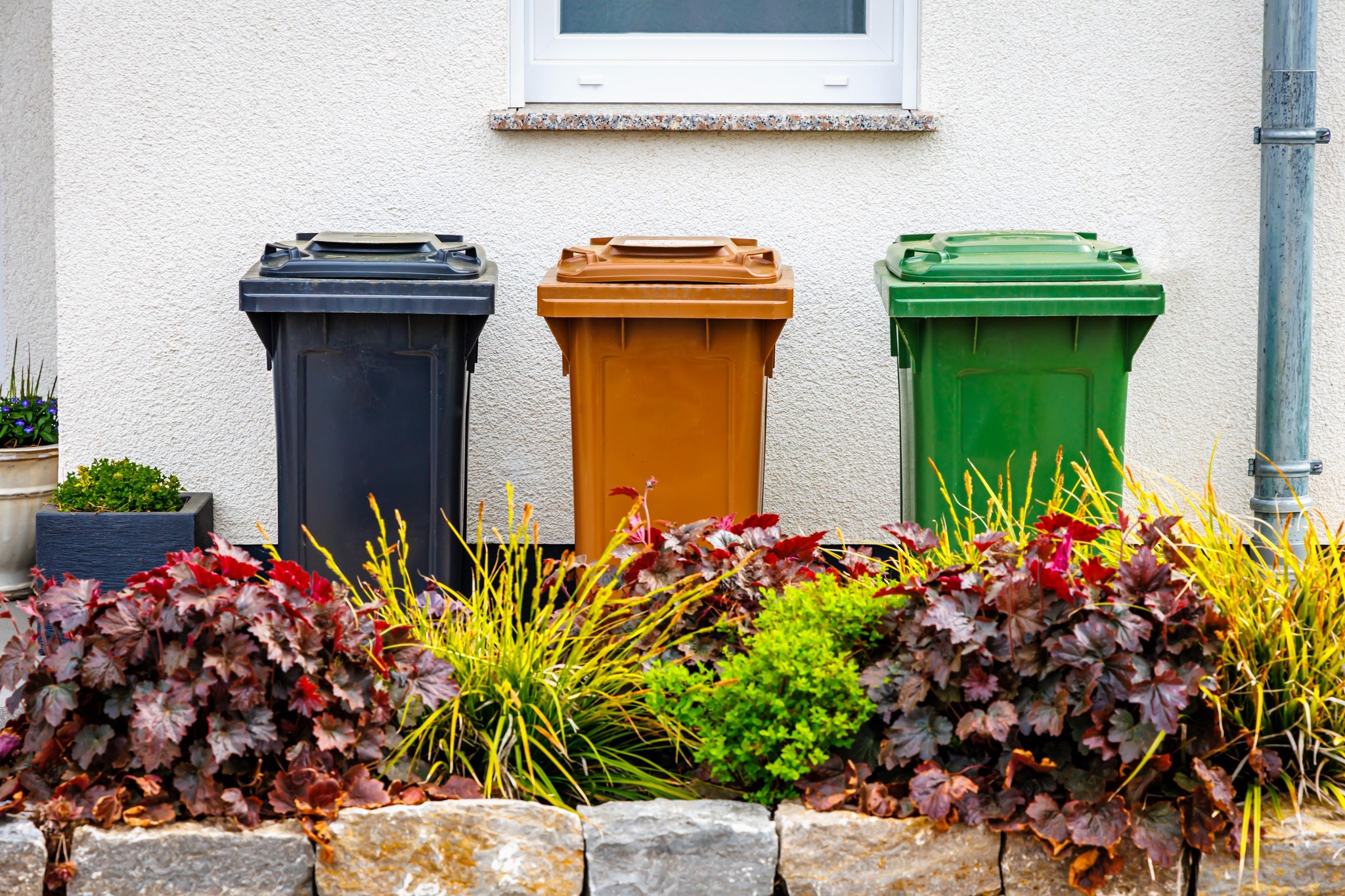 Roscommon - 🚮 New Waste Management Initiative in Roscommon ♻️ Is your ...
