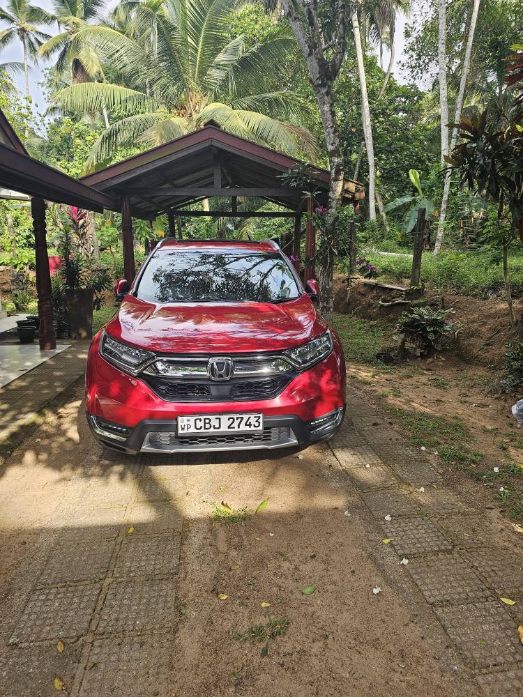 Honda CRV Masterpiece Japan Manufacture 2018 Registered 2019 90308