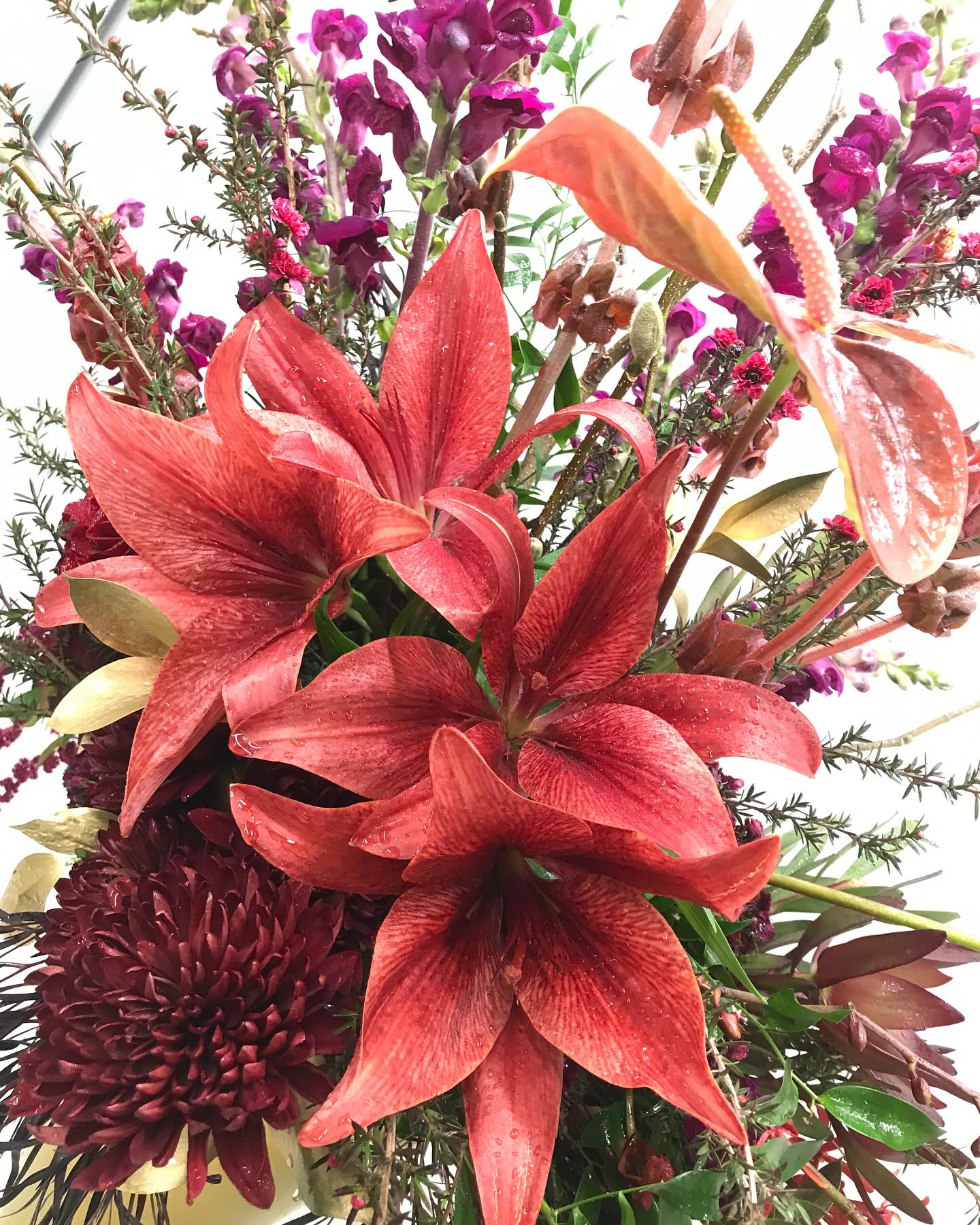 Sandy Rose Floral, Inc. | Los Angeles CA