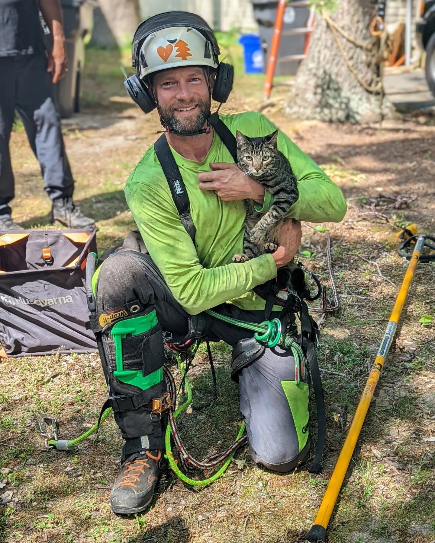 Tesla Tree Service