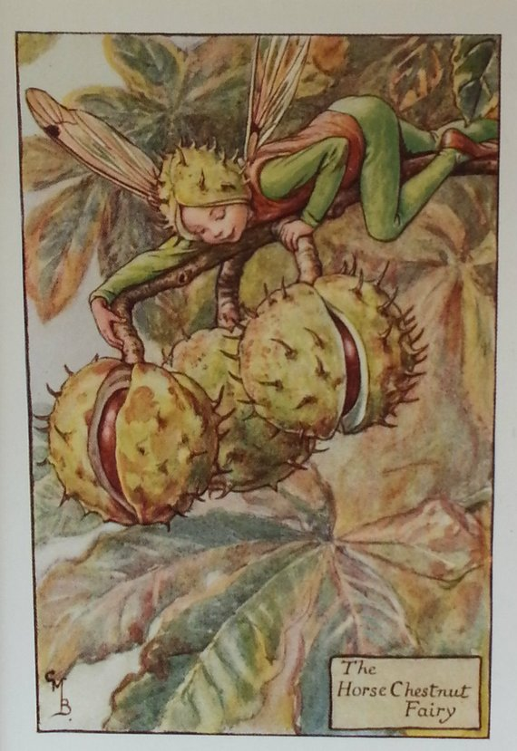 The Horse Chestnut Fairy 額装アート The Horse Chestnut Fairy 額装アート THE HORSE CHESTNUT FAIRY — The