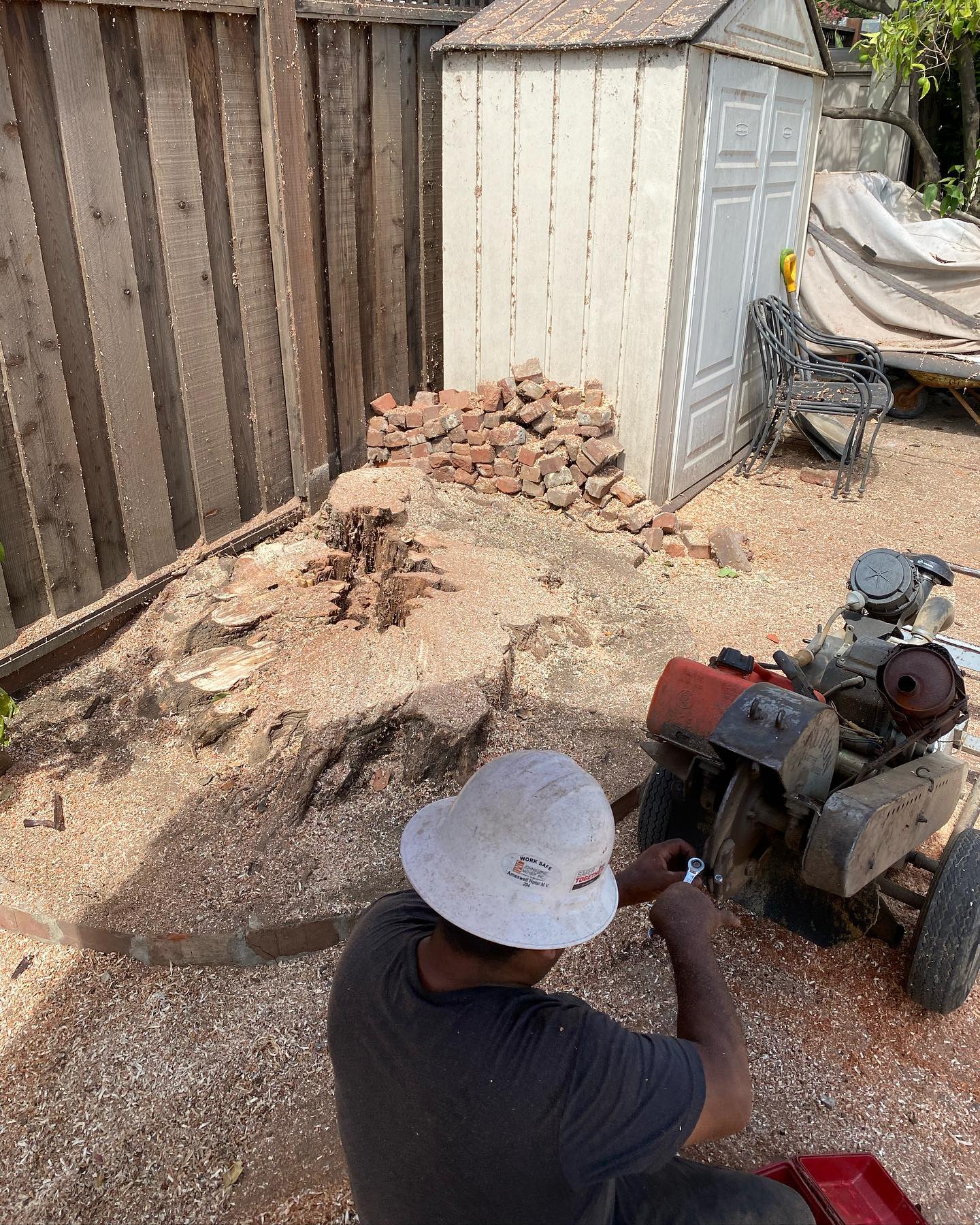 S & P Tree Service | San Jose CA