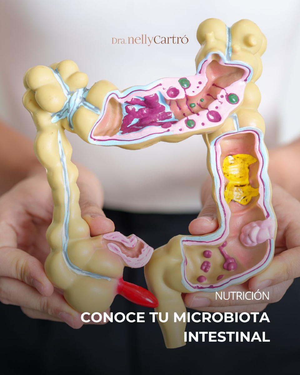 Dra. - En la clínica de la Dra. Nelly Cartró, entendemos que una ...