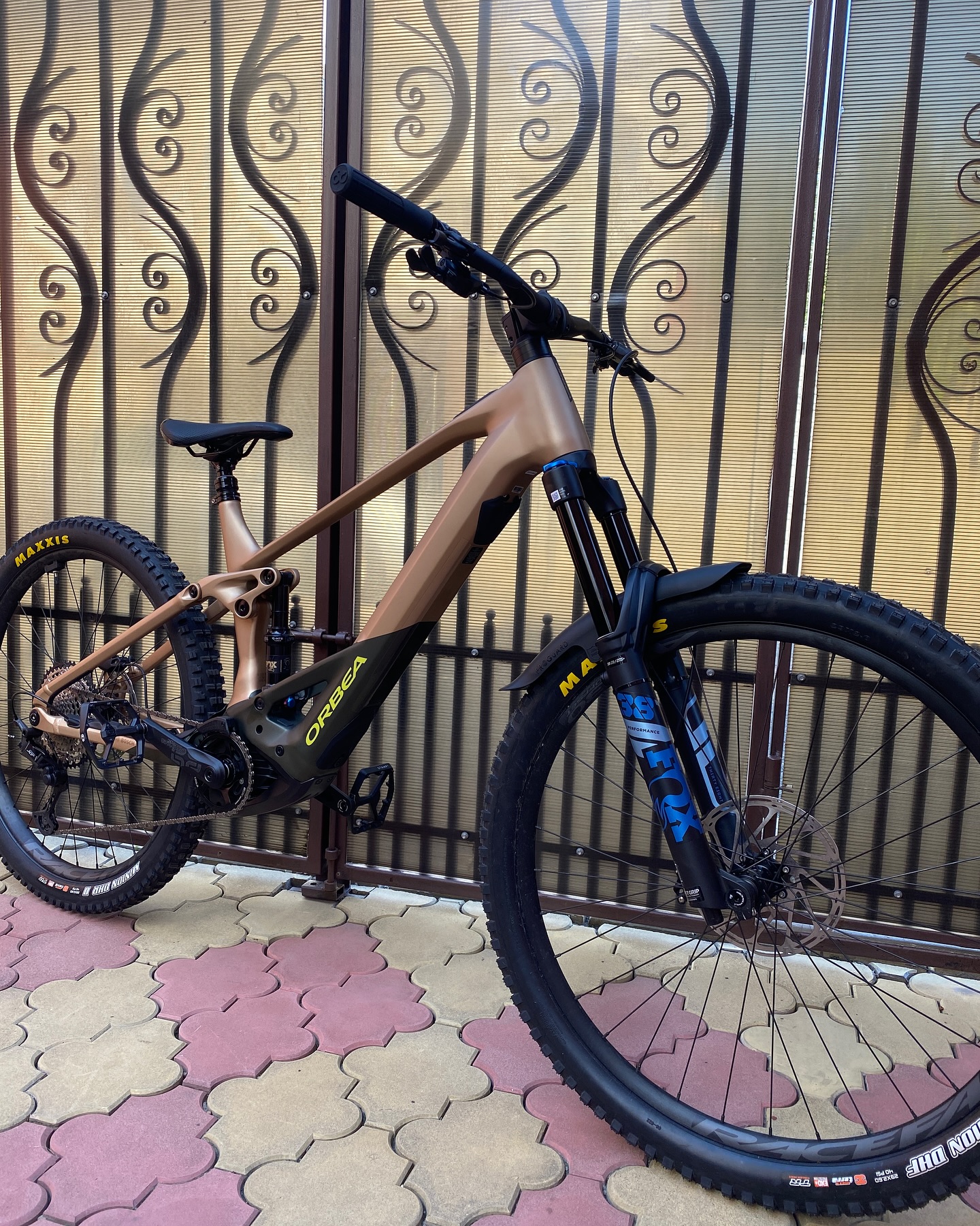 fahrrad freilauf kaufen DT Swiss X 1800 Hinterrad 26