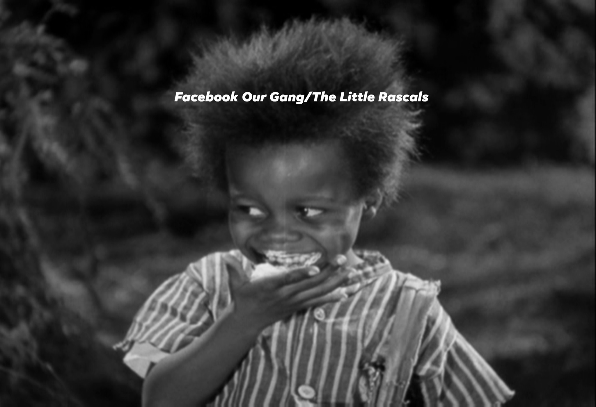 Our Gang The Little Rascals - Scene from Bear Facts | Facebook