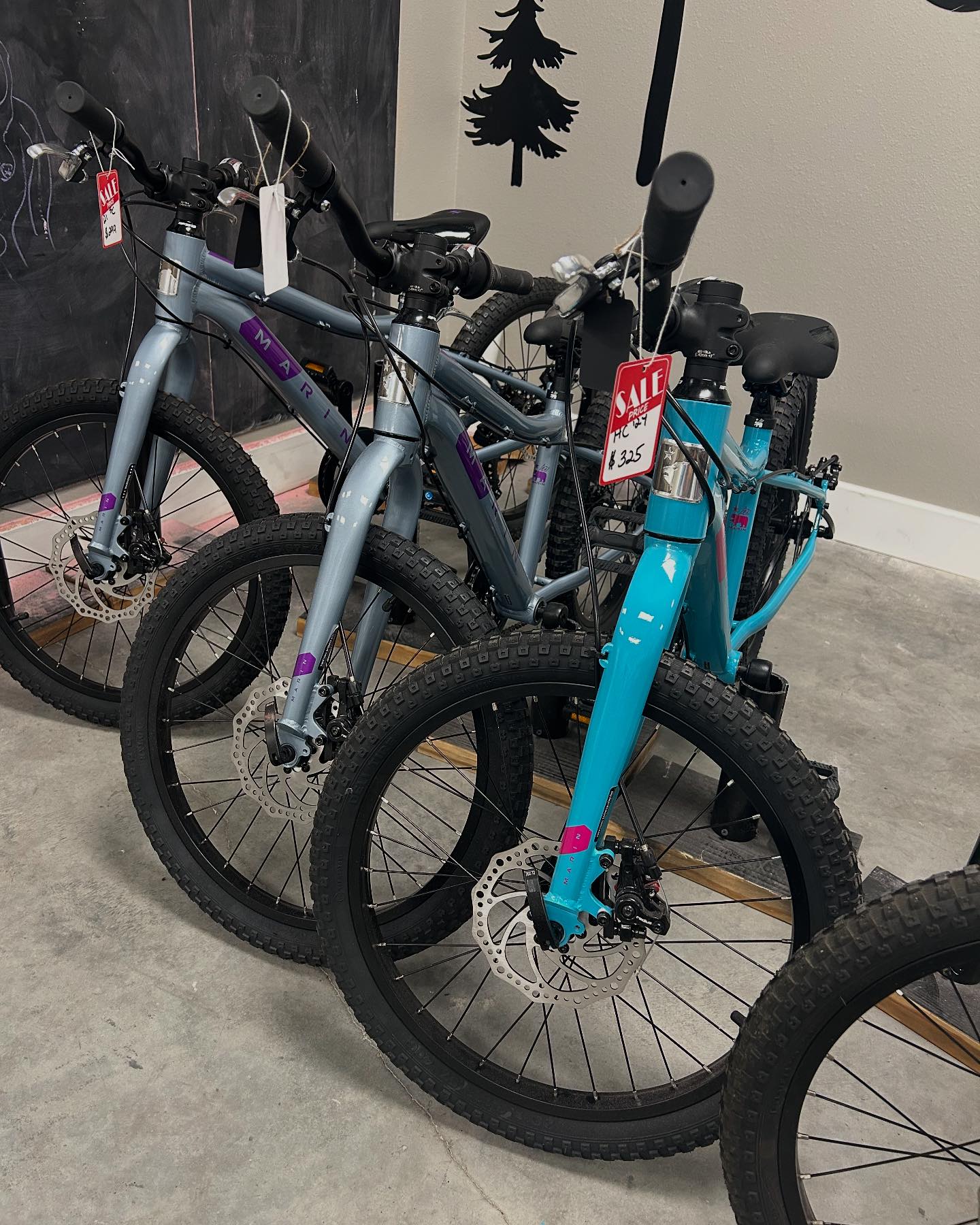 Biking Roots