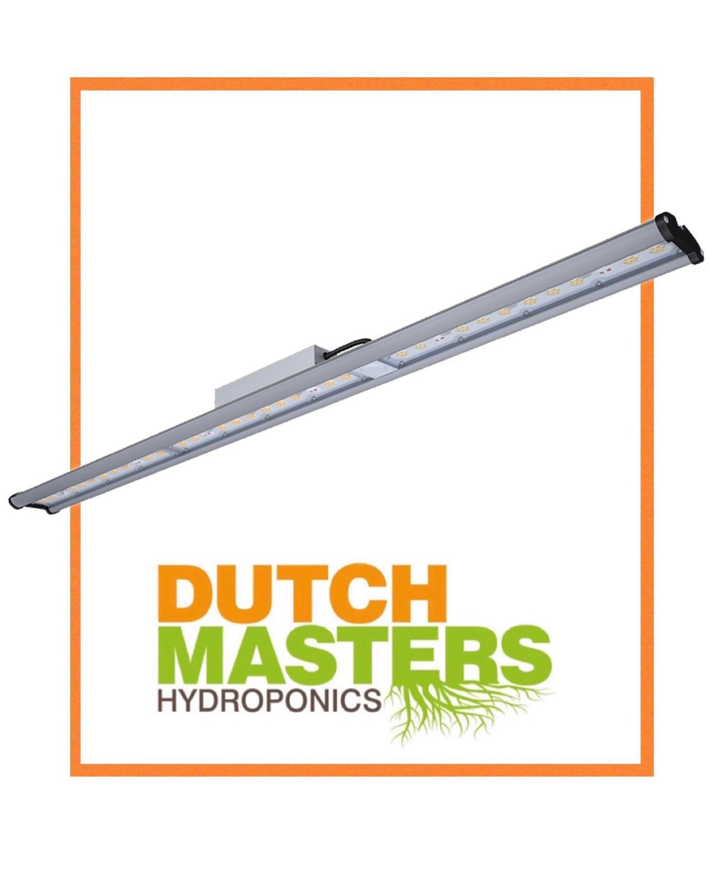 Dutchmasters - Barra LED Daystar 100 W Platinum REF...