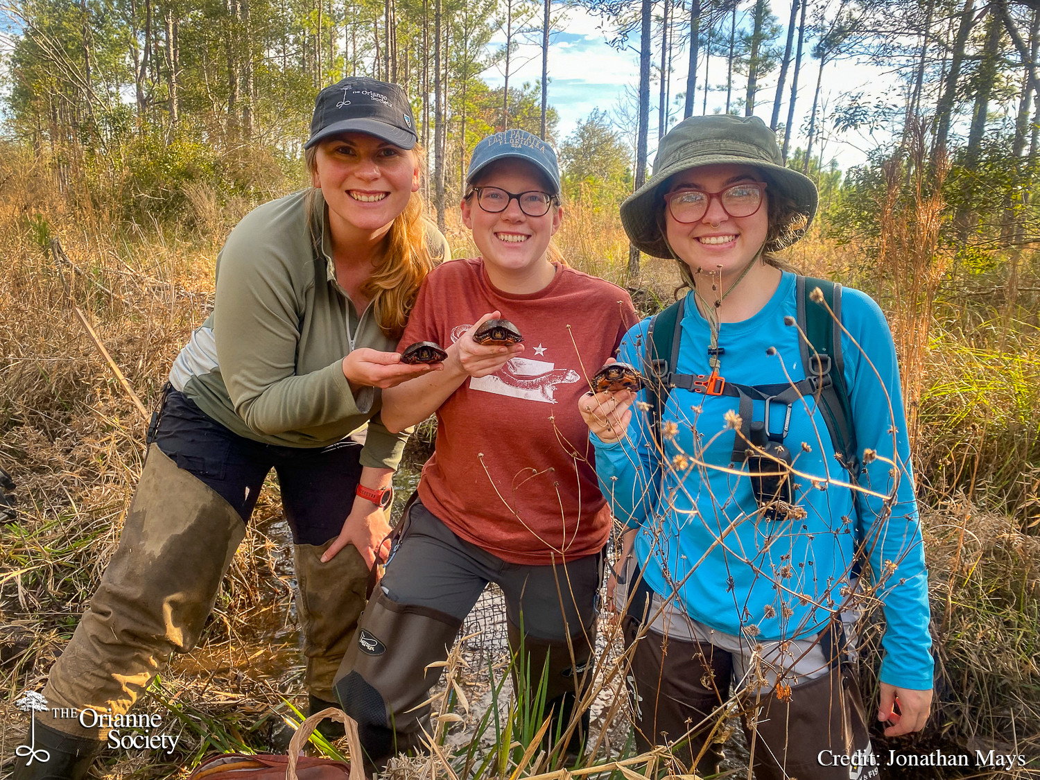 The Orianne - Andrea’s team kicked off Spotted Turtle trapping with a ...