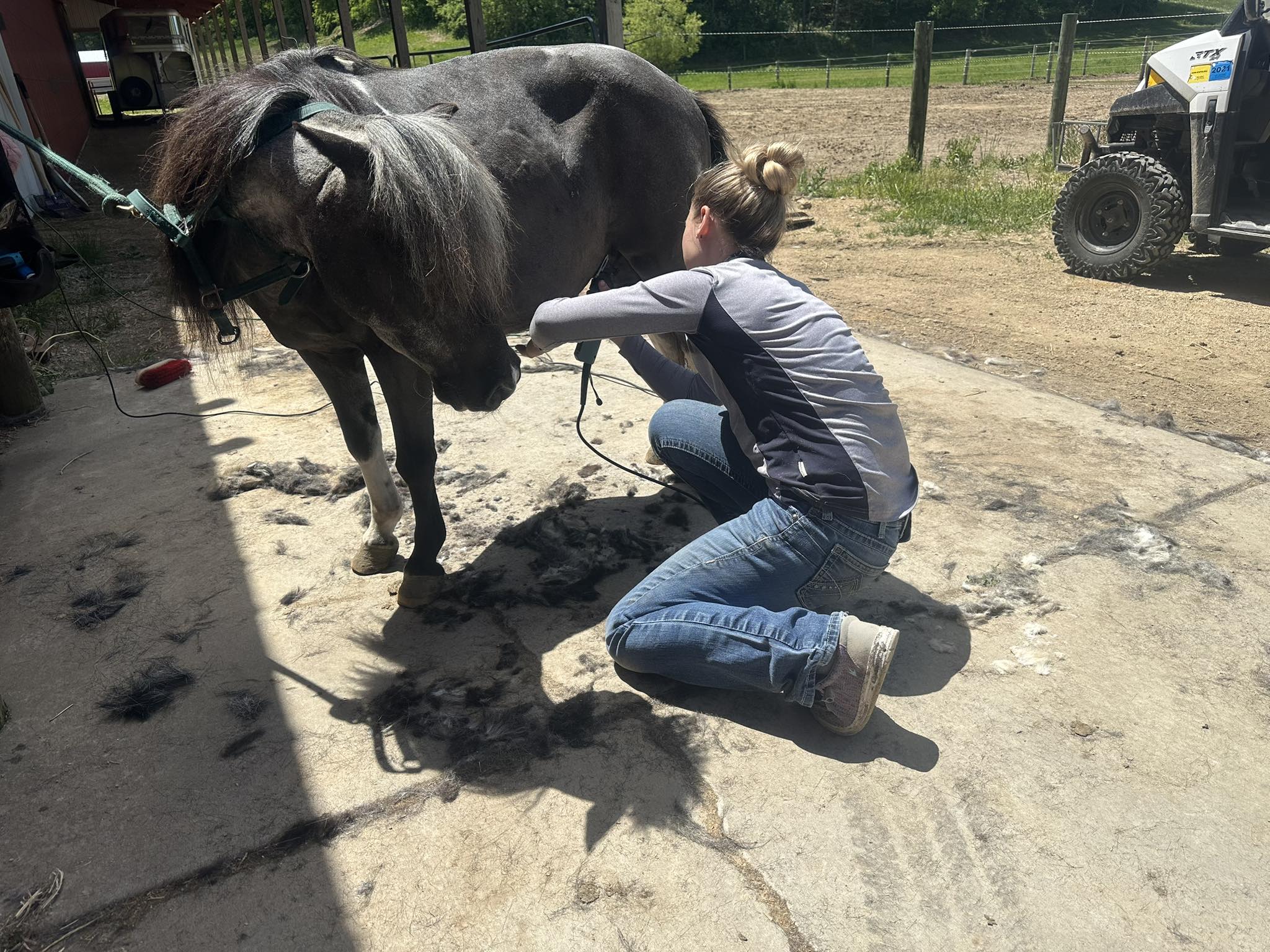 Rough Cut Ranch | Reedsburg WI