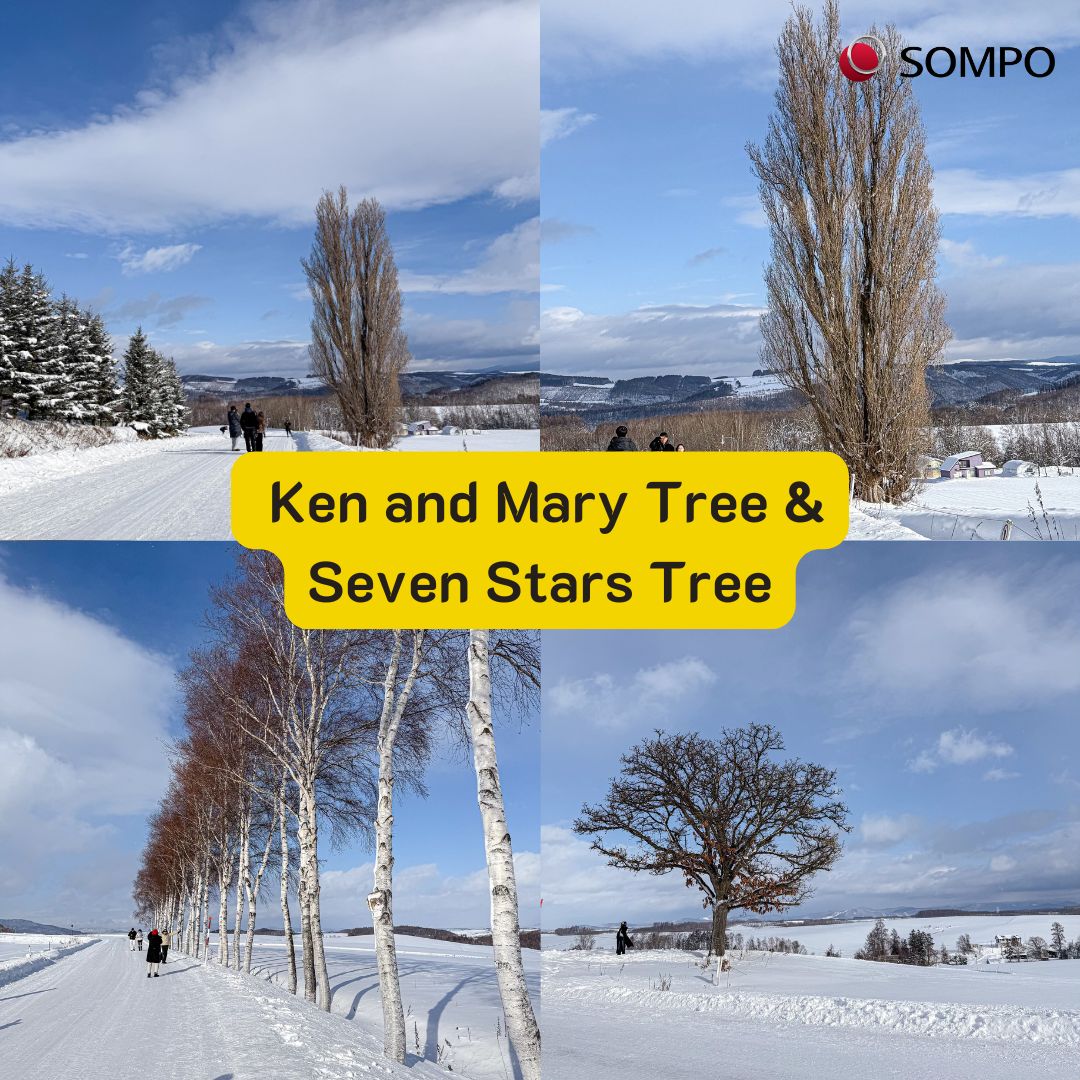 เงินจ๋าขอลาก่อน - Goodbye money - Seven Stars Tree & Ken and Mary Tree ...