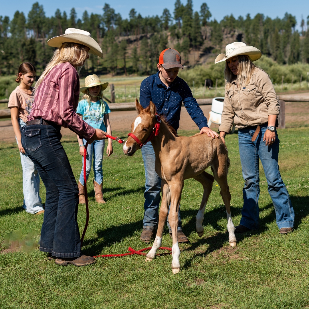 Arizona Dude Ranch Association
