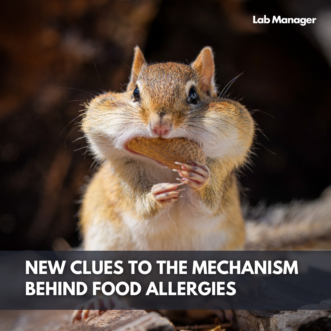 Lab Manager - 🚨 Breaking News for Snack Lovers! 🚨 ... | Facebook