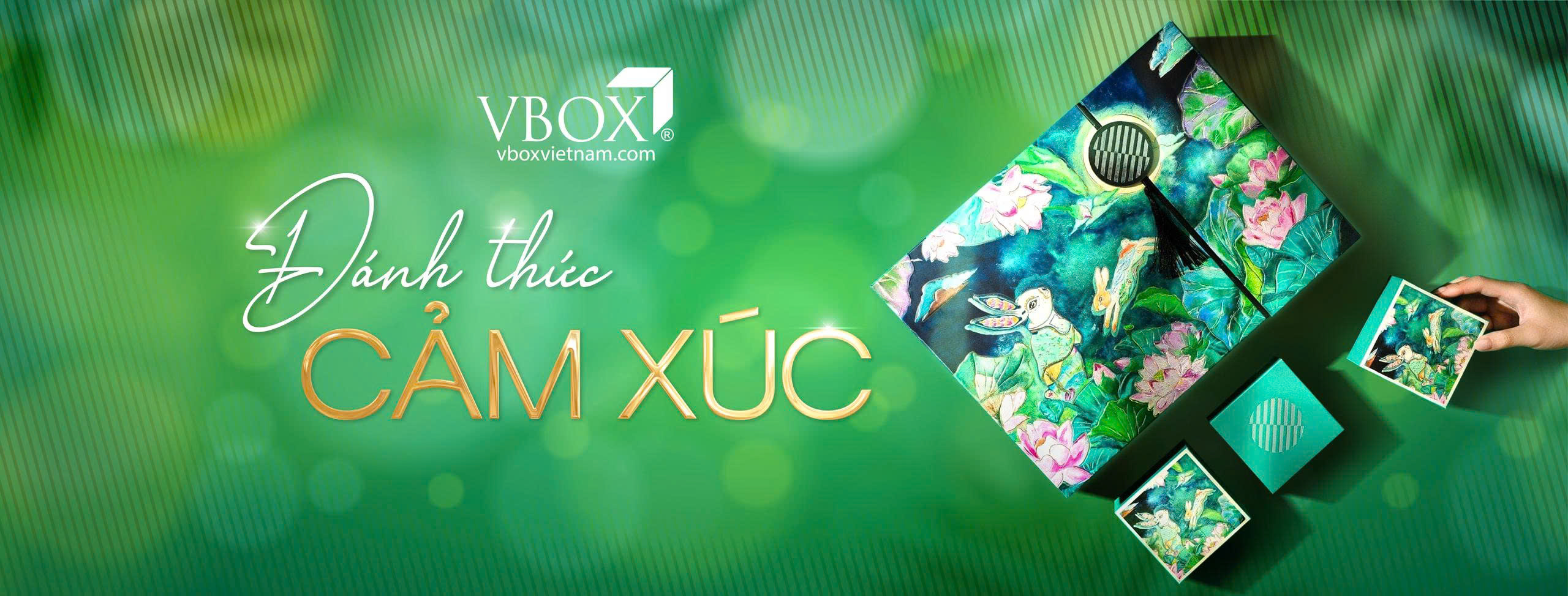 VBOX Luxury Packaging - Bao Bì Cao Cấp Việt Nam