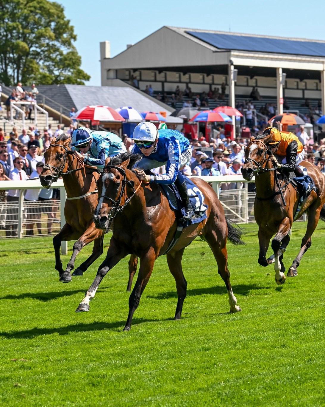 York Races | York