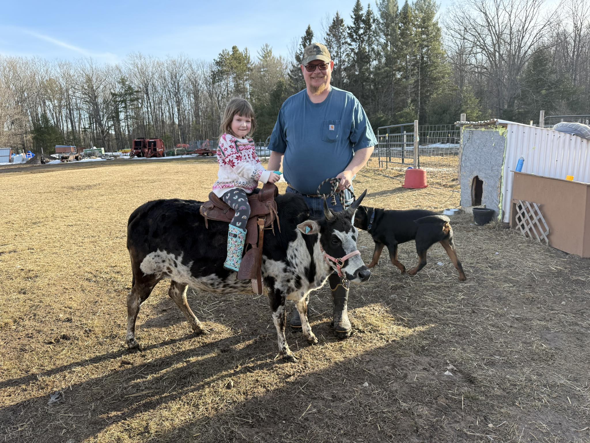 Fosheim Farm & Farrier | Lachine MI