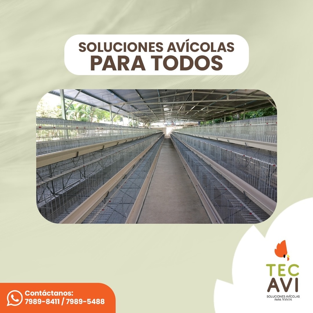 TecAvi - SOLUCIONES AVÍCOLAS PARA TODOS ️ ¡En TEC AVI construimos el ...